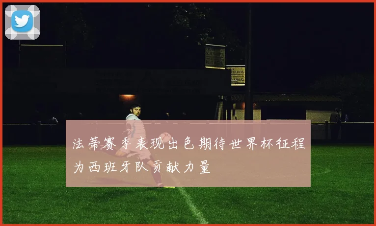 法蒂赛季表现出色期待世界杯征程为西班牙队贡献力量